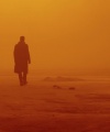 BR2049_-_Official_Stills_-_Courtesy_of_28c29_Columbia_Pictures_-_28c29_Stephen_Vaughan_005.jpg